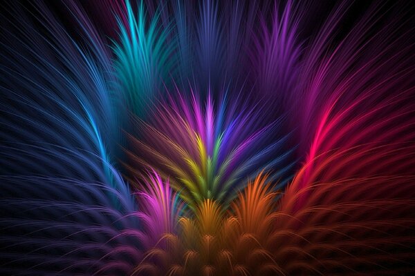 Bright multicolored feathers and petals