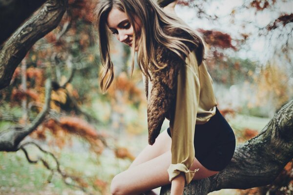 A girl in shorts is sitting on a tree