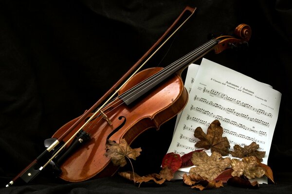 Geige, Bogen und Noten in Herbstblättern