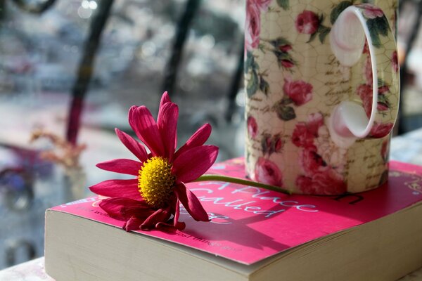 Kompozycja różowy kwiat, Książka i kubek herbaty