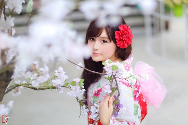 Asian - stylish photo of a girl with sakura
