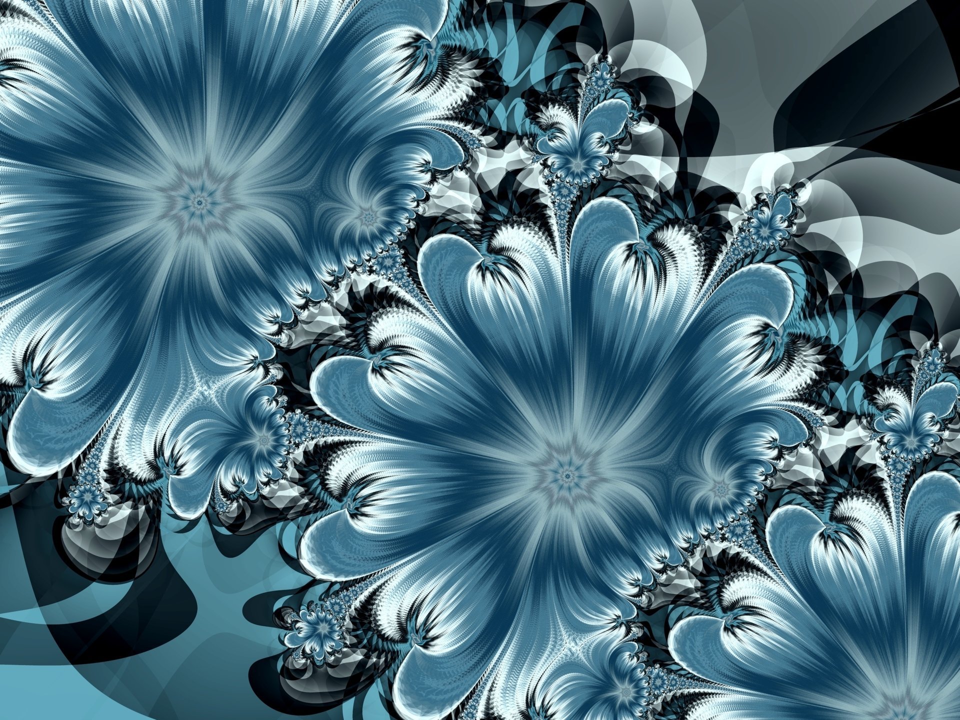 abstraktsiya flowers art 3d abstraction