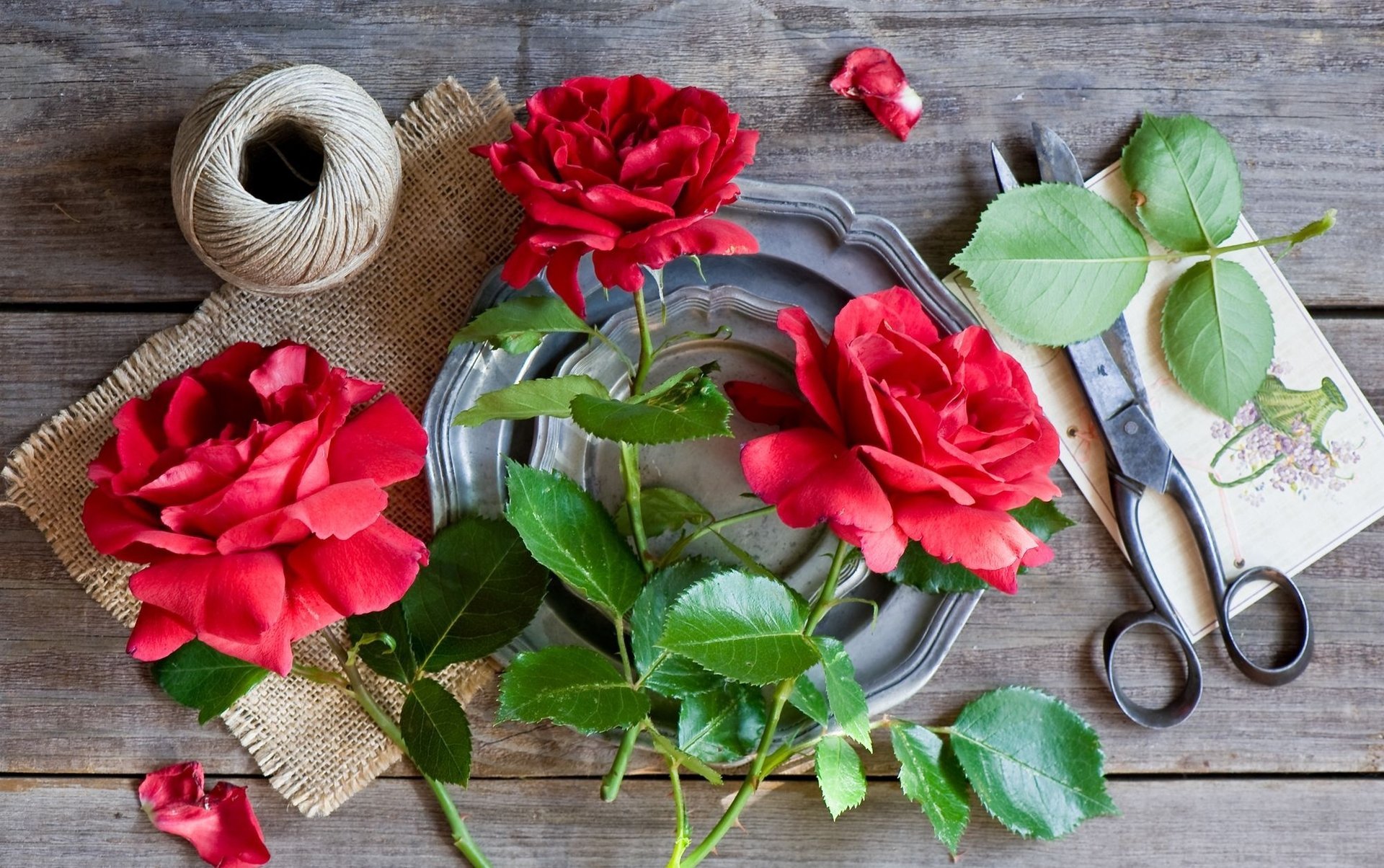 roses ciseaux corde nature morte