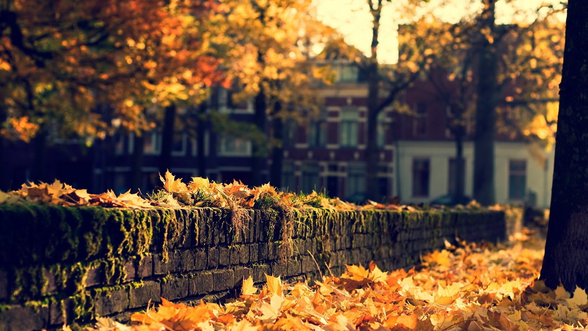 città autunno strada