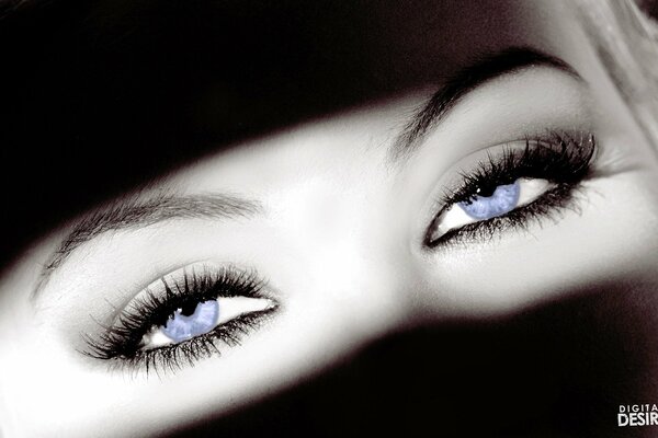 Beau regard de la jeune fille aux yeux bleus