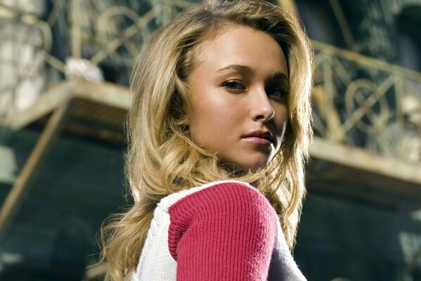 Hayden Panettiere in rosa Bluse