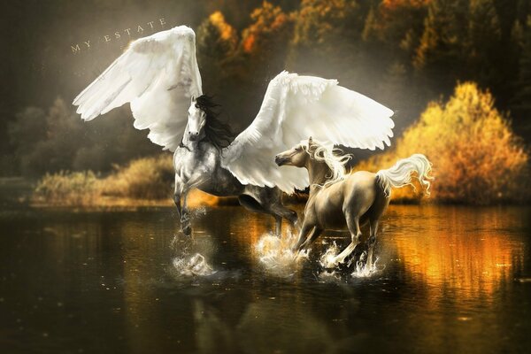 Fantastic Art with a horse and a Pegasus in the water