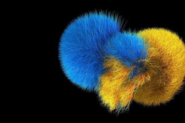 Il pompon è una palla soffice e voluminosa di colore blu e arancione