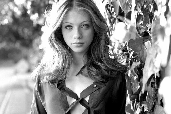 Michelle Trachtenberg - Schönheit auf einem Schwarz-Weiß-Bild