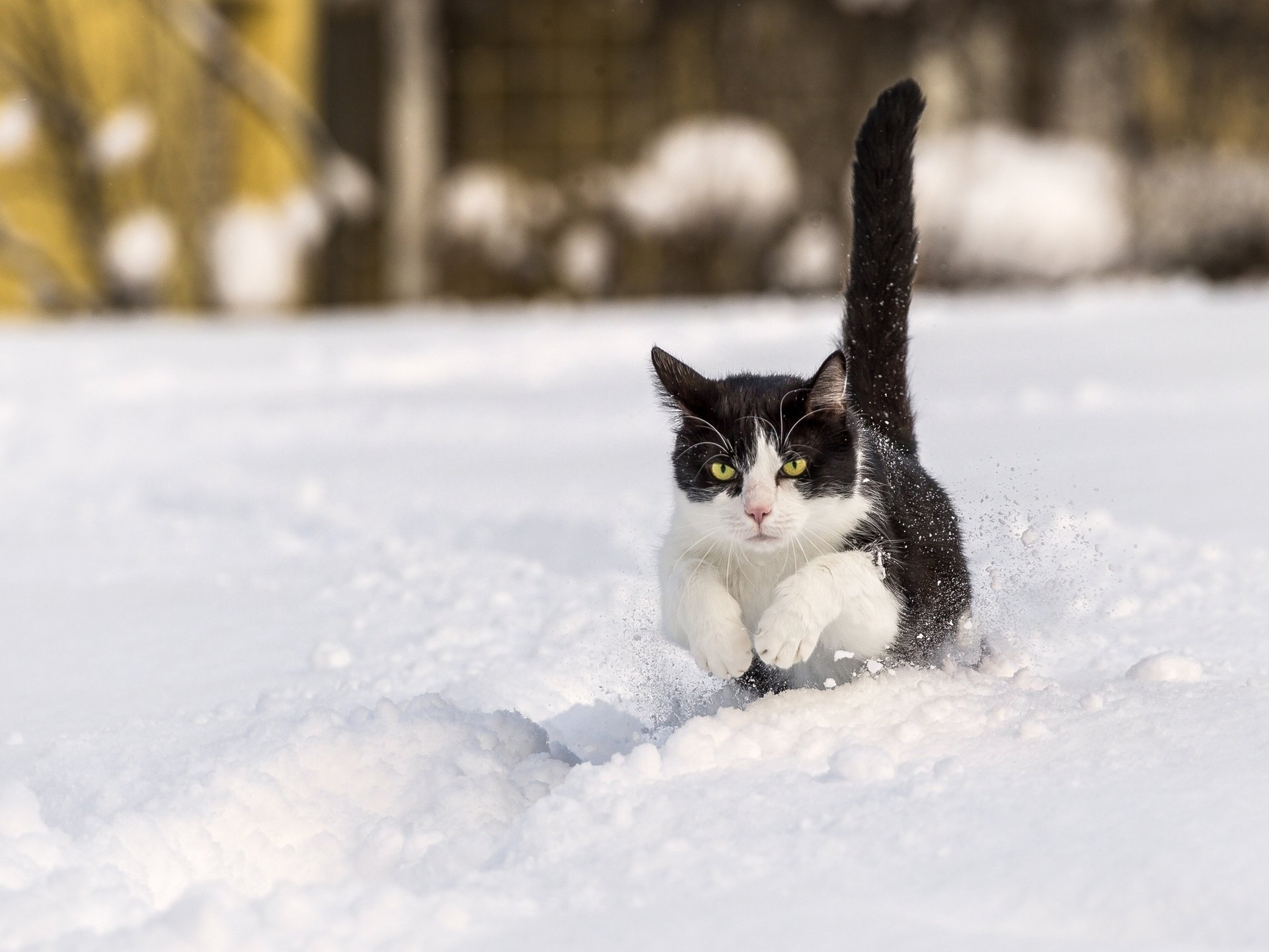 hiver neige jogging