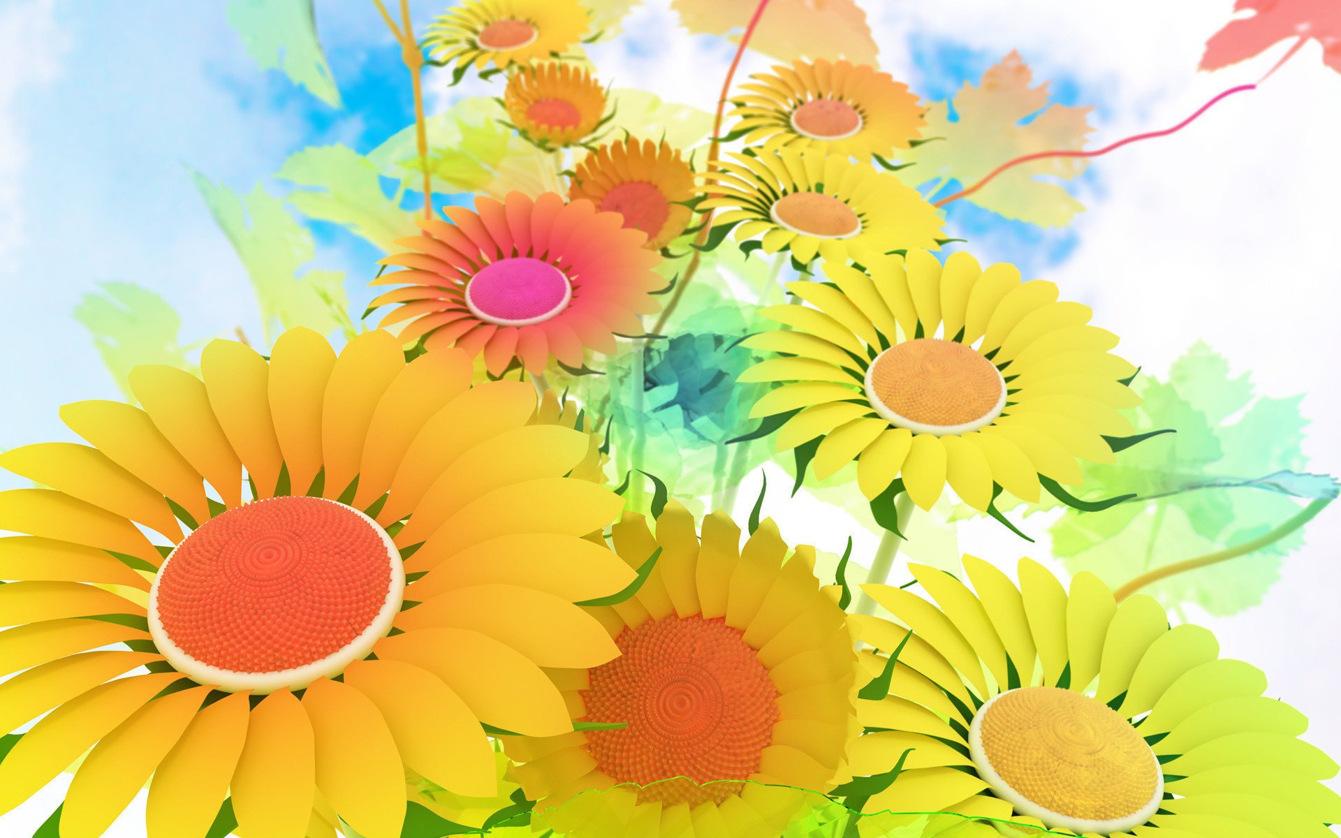 daisy flowers wallpaper the sky stem cloud