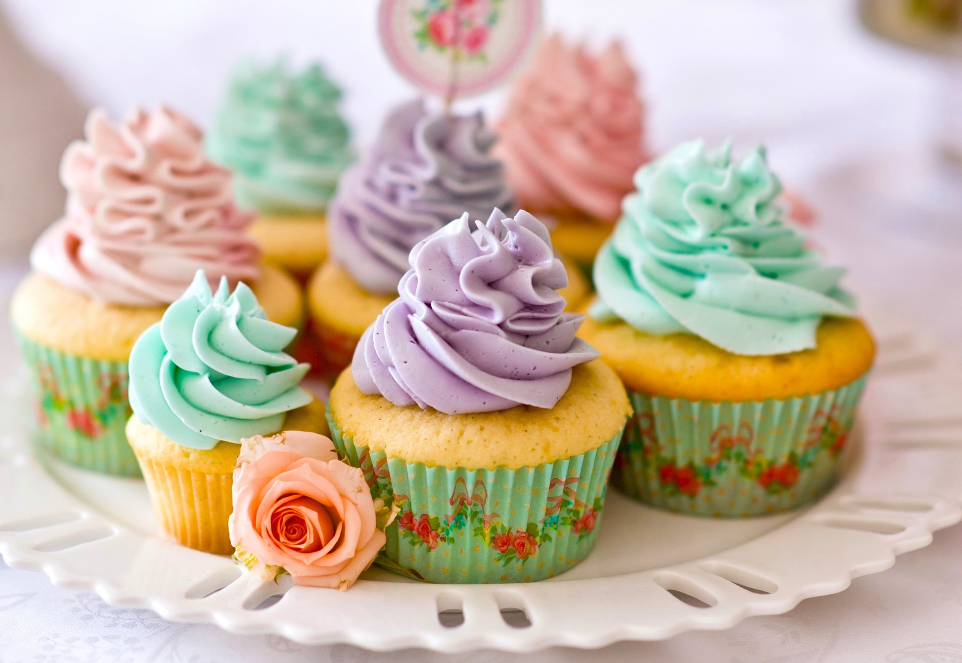 cupcakes sweets rose dish cakes dessert cream