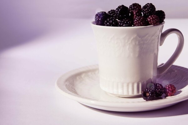 Stillleben, Brombeeren in einer Tasse, weißes Geschirr