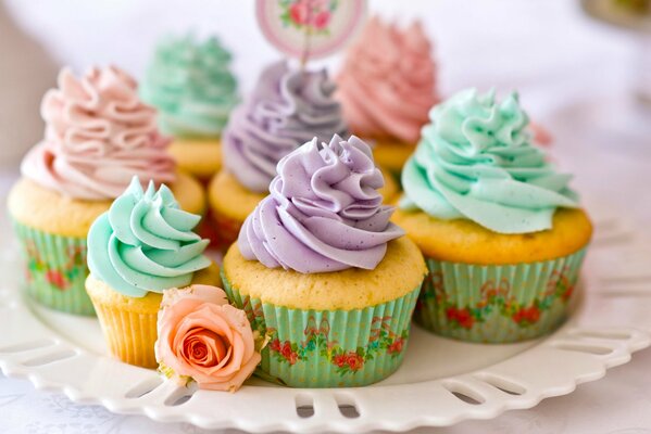 Cupcakes on a platter with multicolored cream