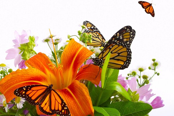 Прекрасный букет с оранжевыми лилиями и бабочками. Лилия Саранка