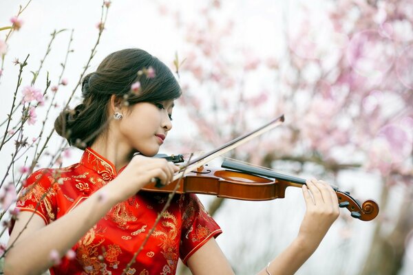 Asiático tocando el violín en el fondo de sakkura