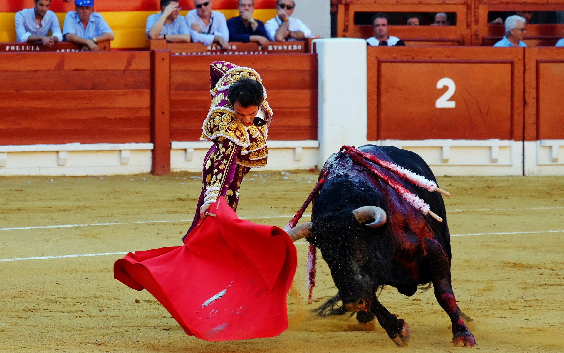 matador bull spain