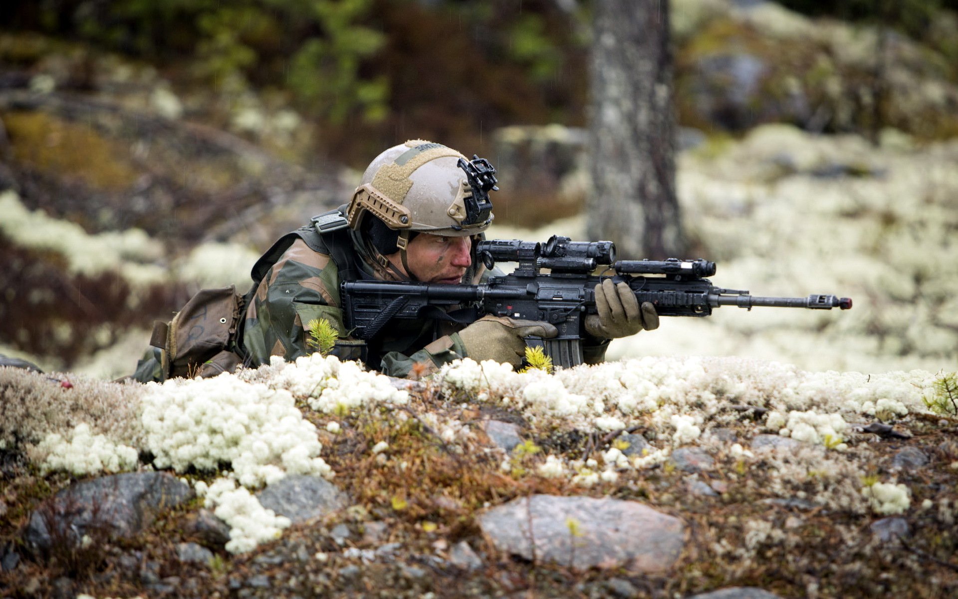 armée norvégienne soldats armes