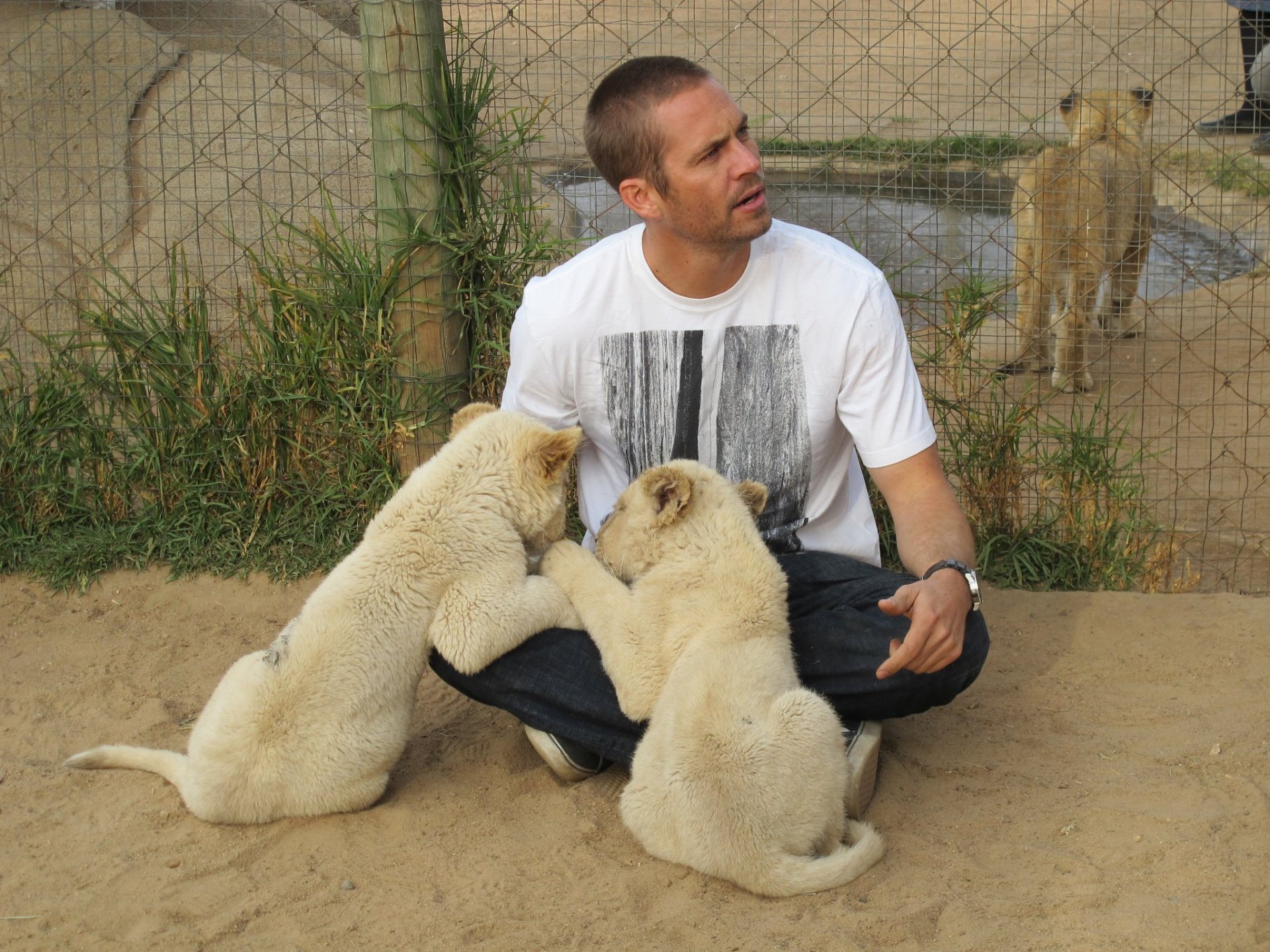 paul walker sourire acteur