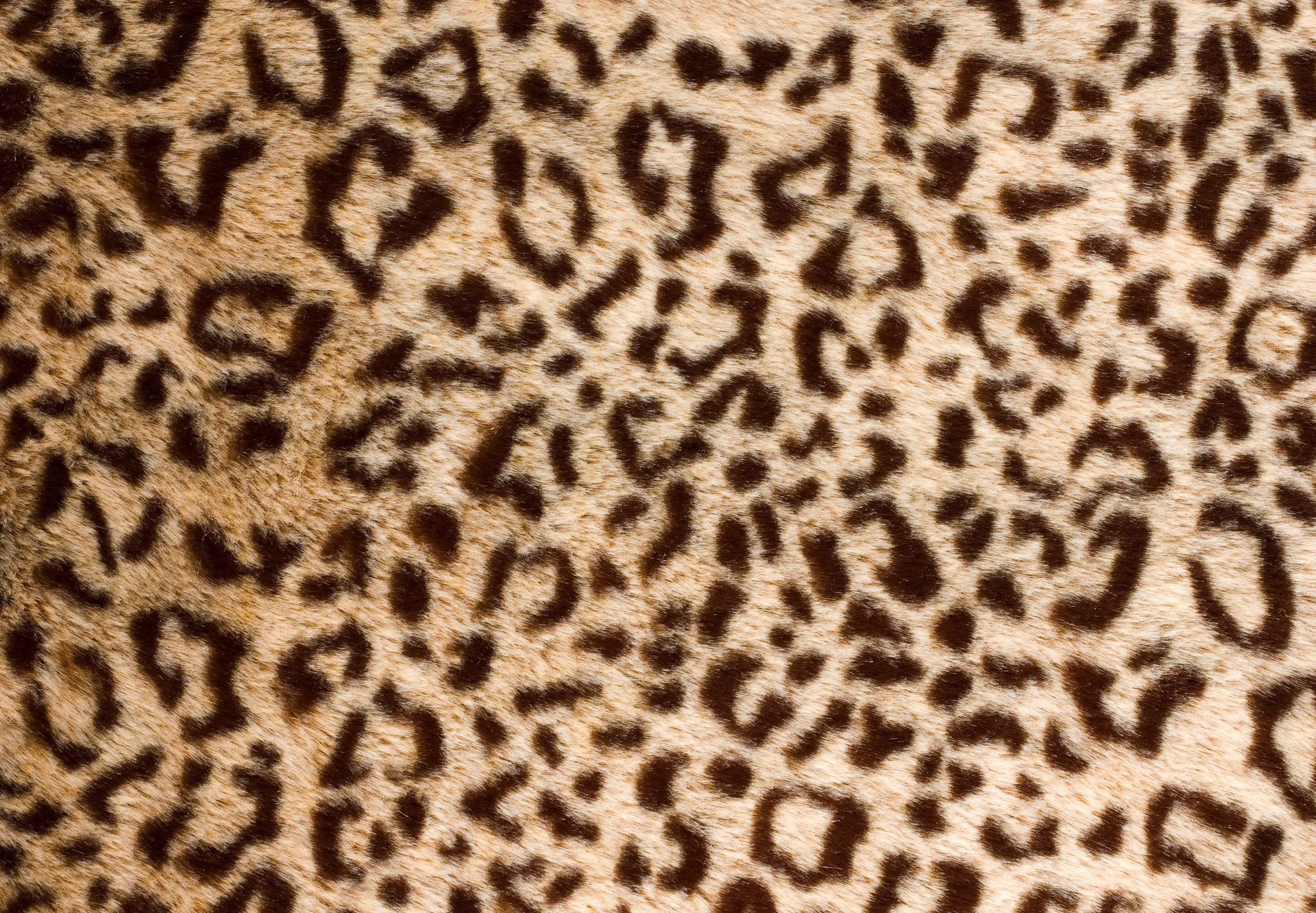 pelle pelliccia leopardo