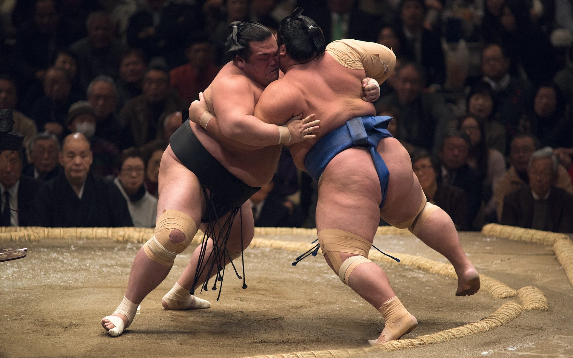 lutte sumo sport