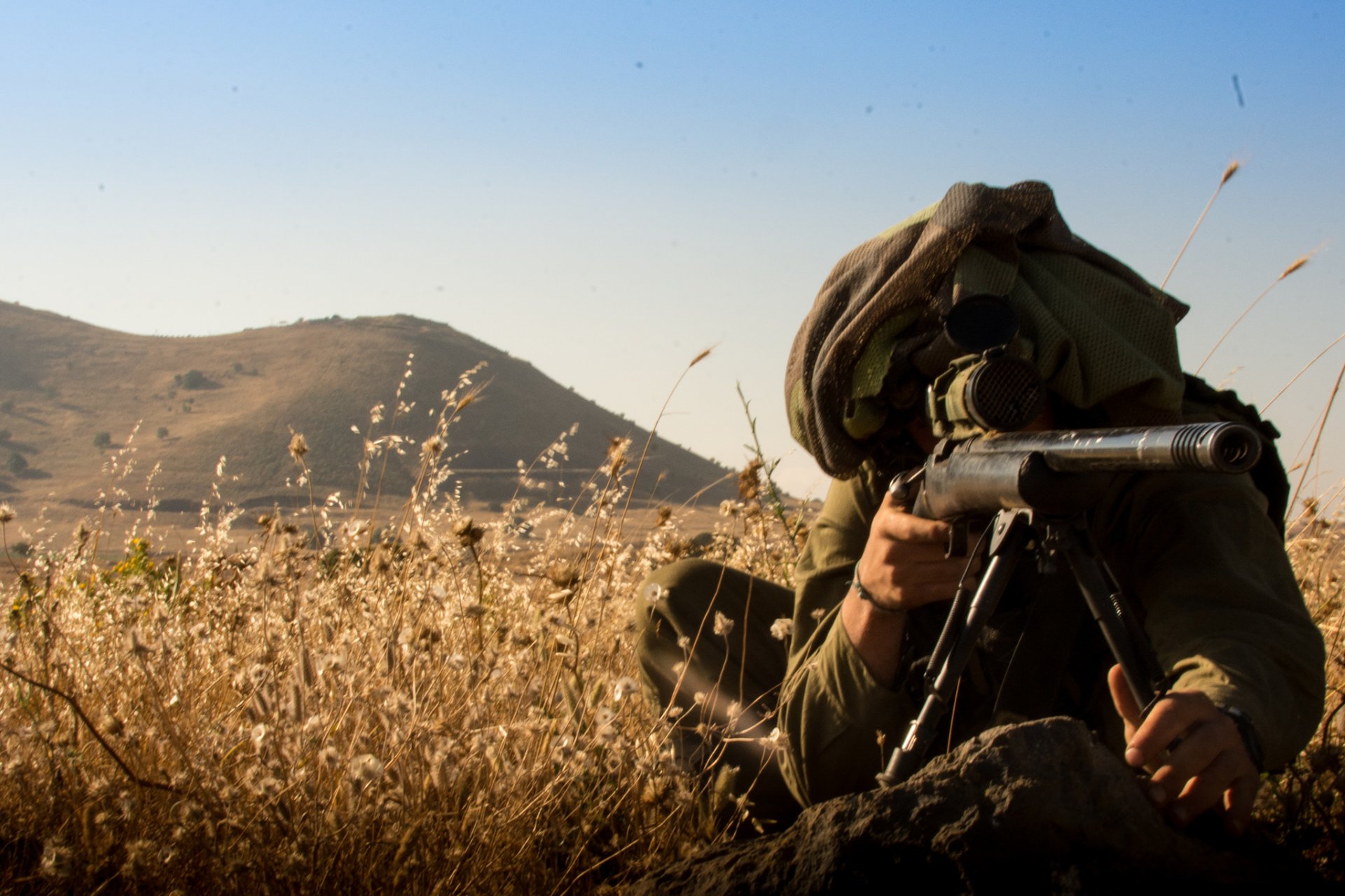 scharfschütze gewehr anblick gras