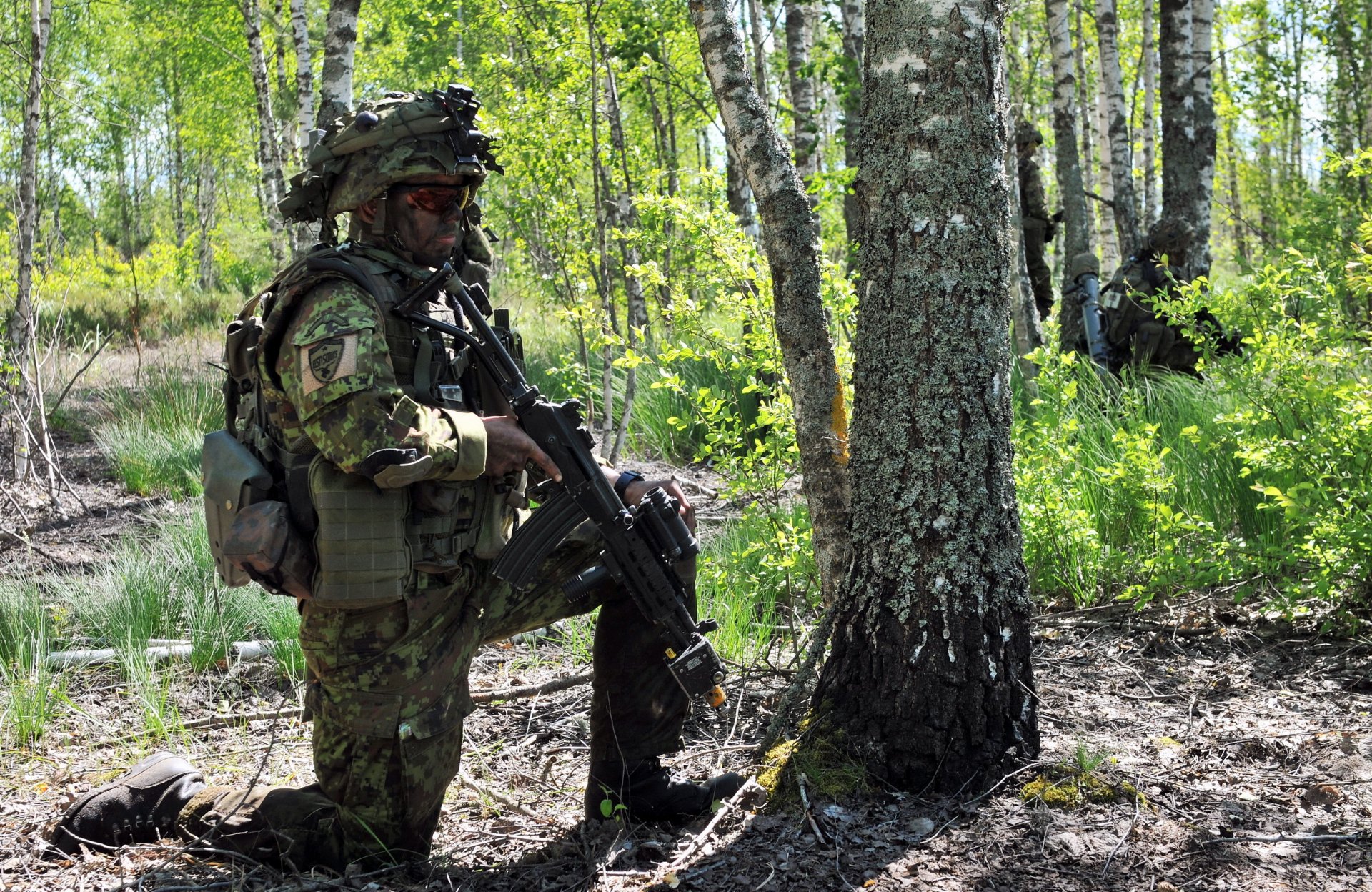 forces de défense estoniennes soldats armes