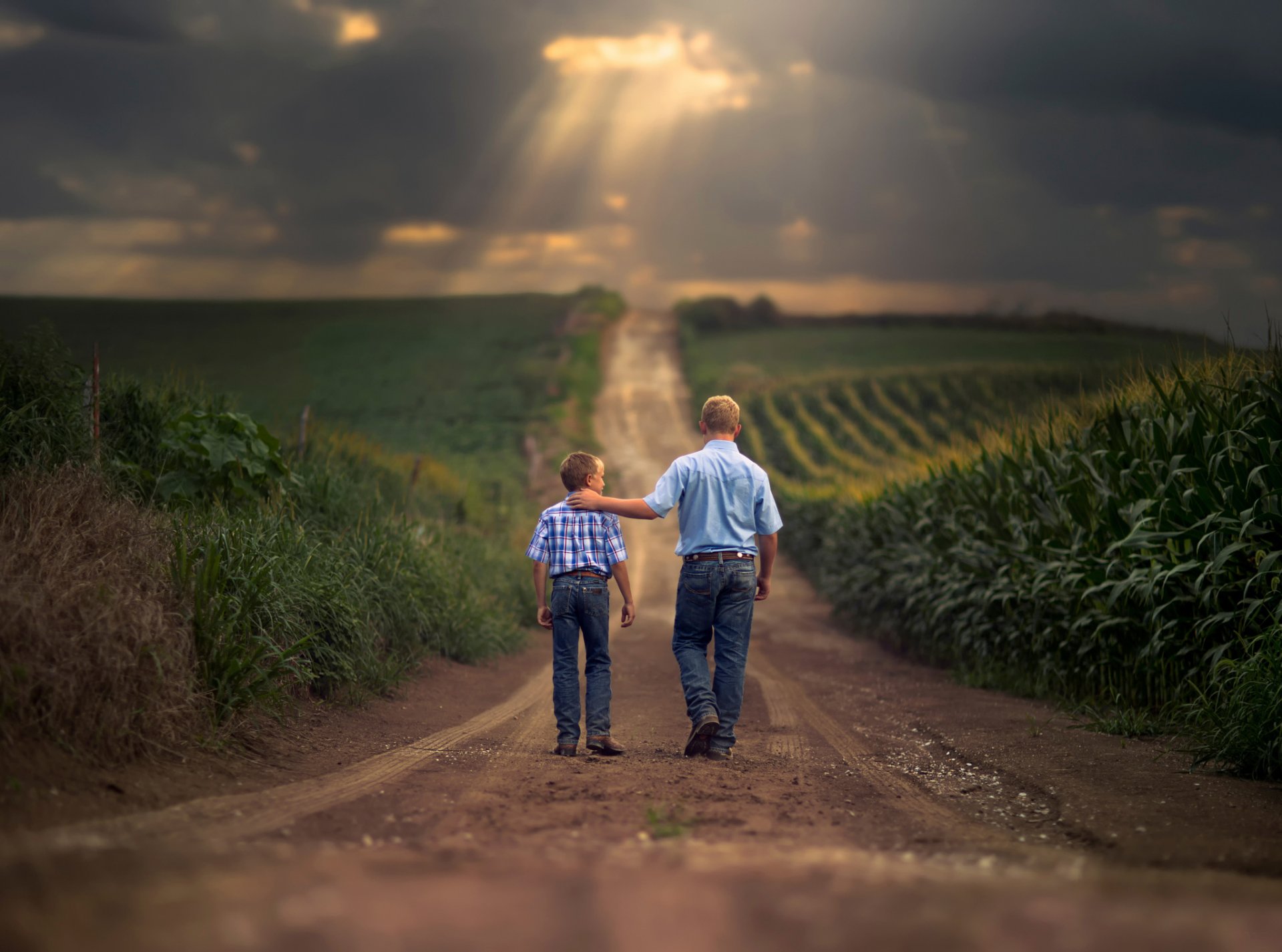 farm boys father son road of the field space