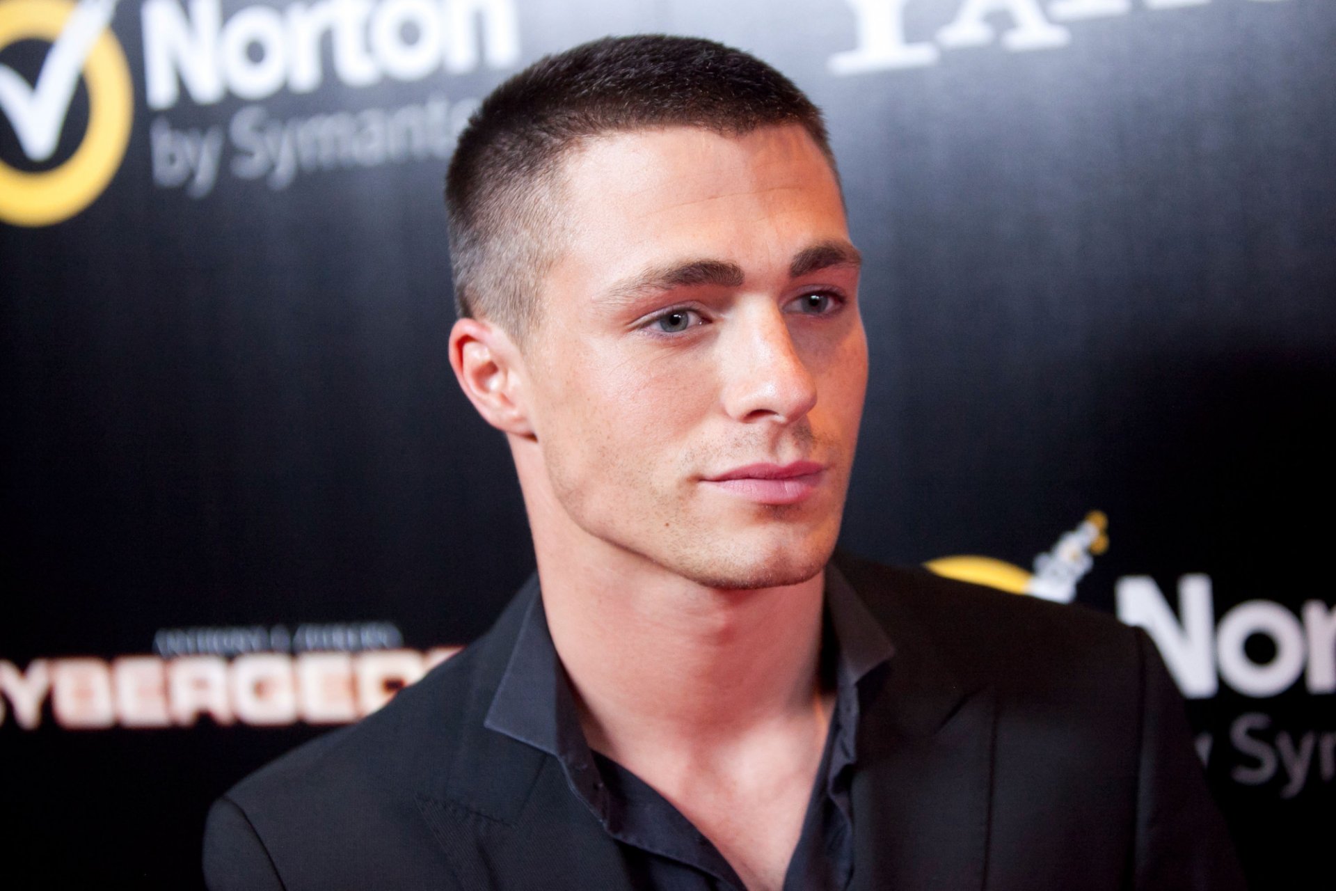 colton haynes colton haynes modello