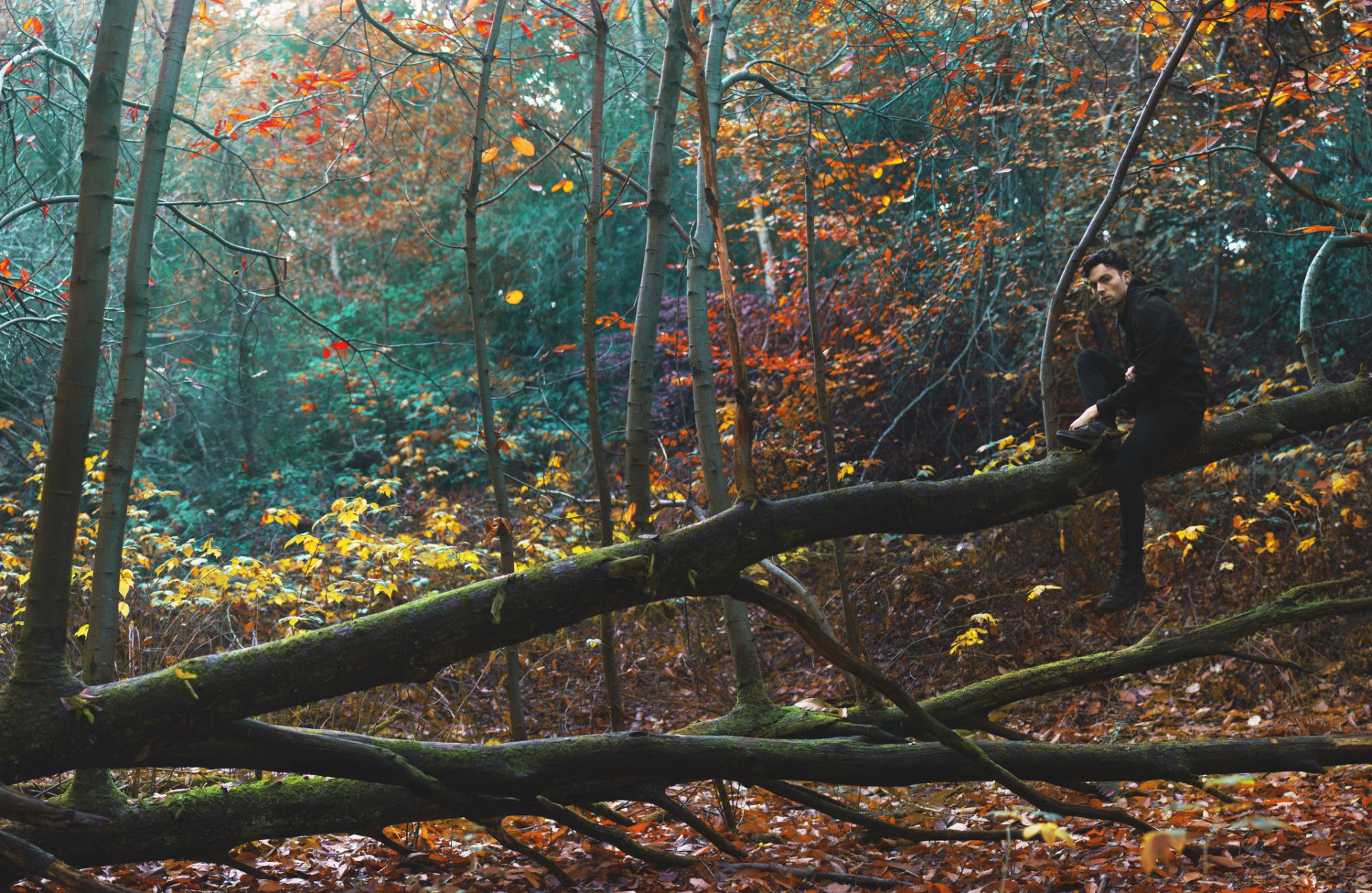 guy forest tree autumn