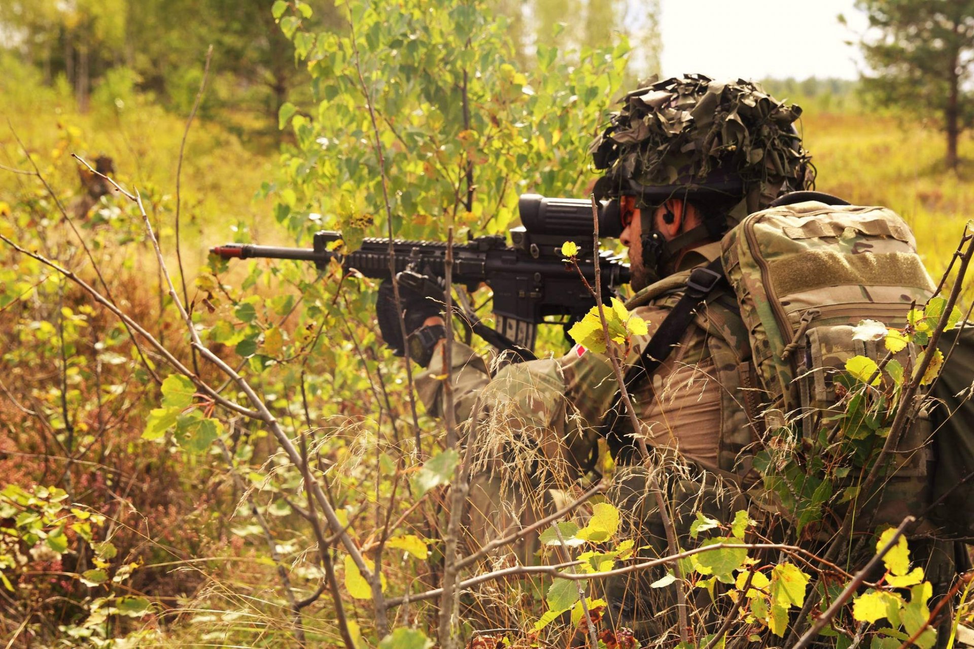 ejército danés soldado armas