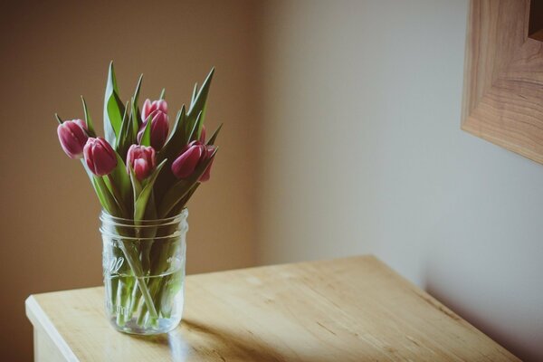 Purple tulips at home in the bank