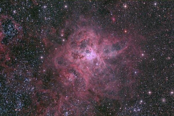 A black and pink galaxy in space, shining stars