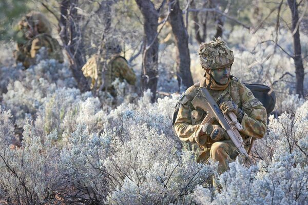 Soldiers in uniform among trees and flowers