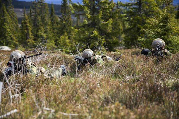 Soldats armés de l armée norvégienne