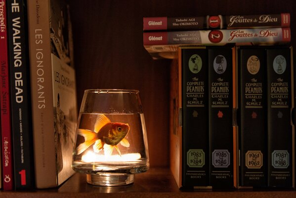 Złota rybka w akwarium wśród książek