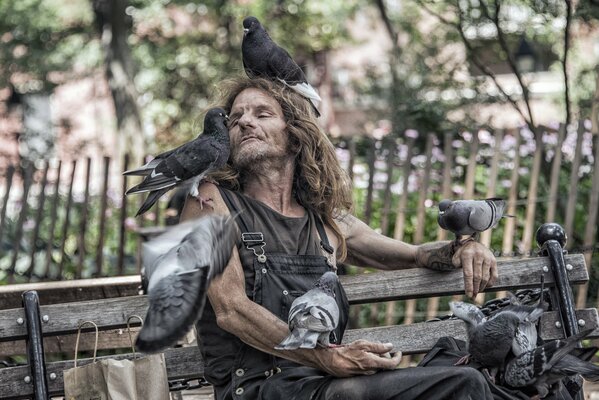 El amor de los pájaros por un anciano