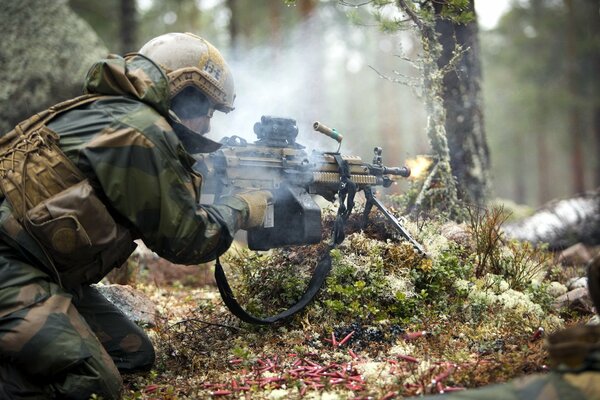 Exercices militaires en forêt