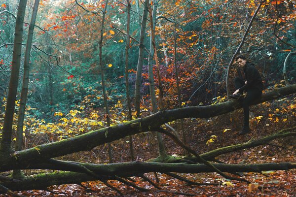 Ein Mann sitzt auf einem umgestürzten Baum im Herbstwald