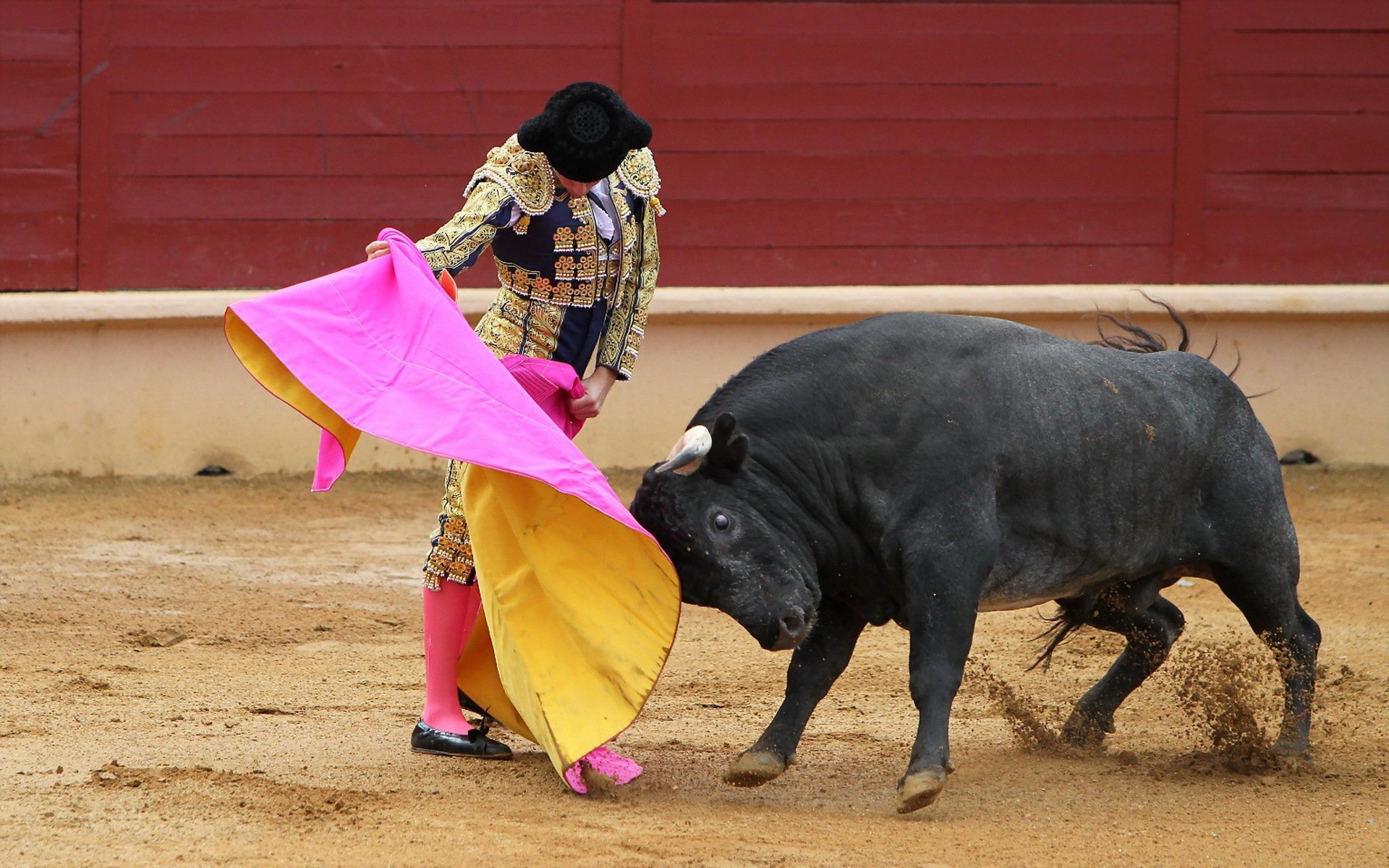 matador stier korida