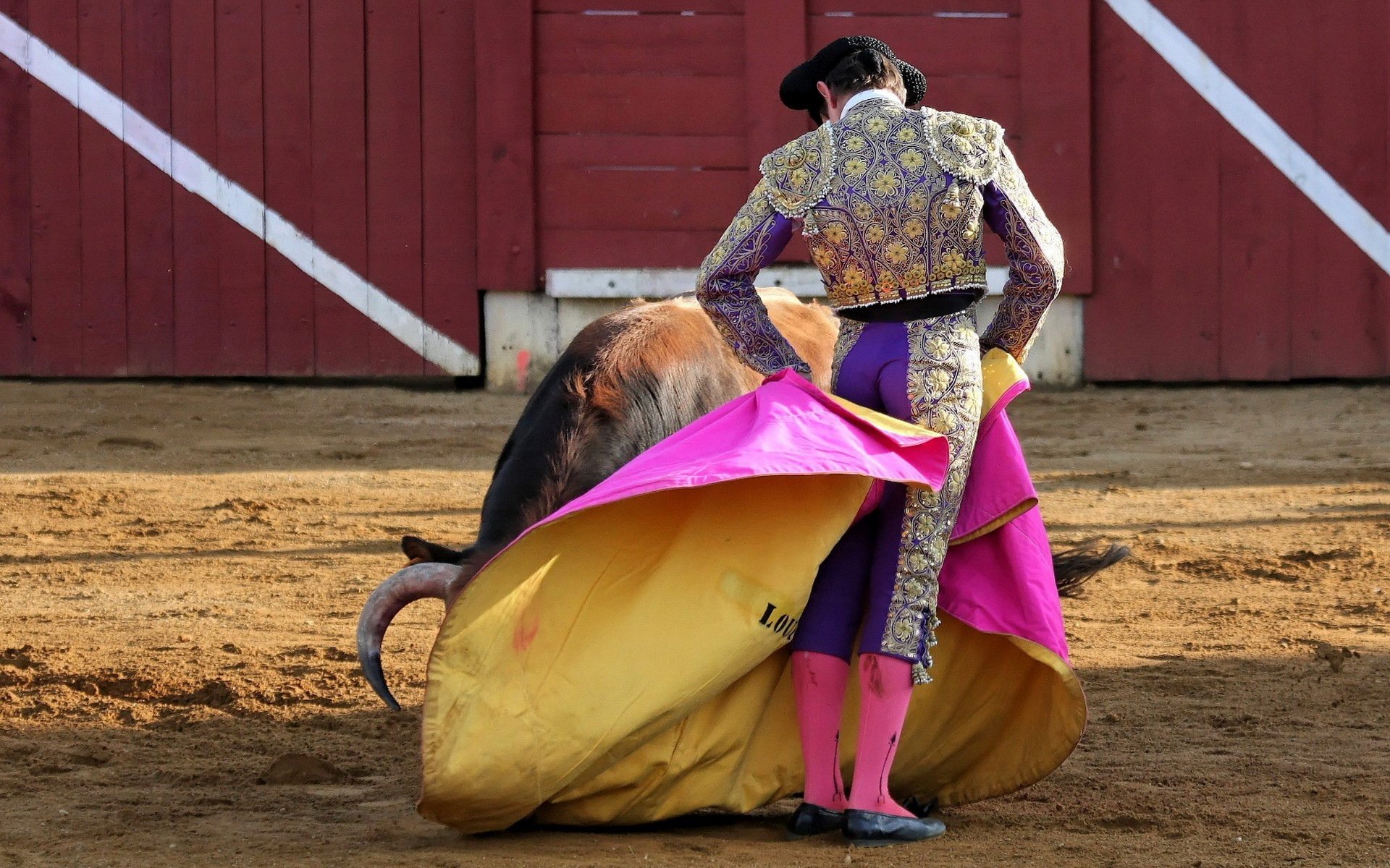 matador bull corrida