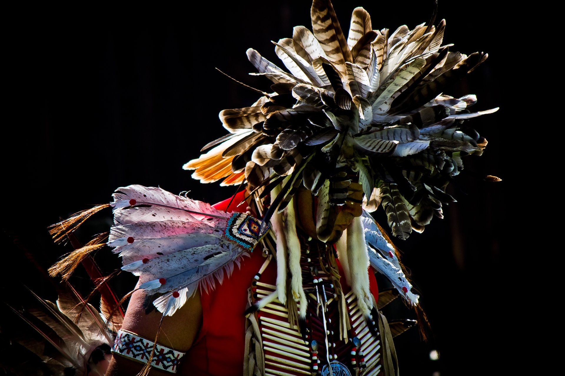 indiano maschio pow wow piume