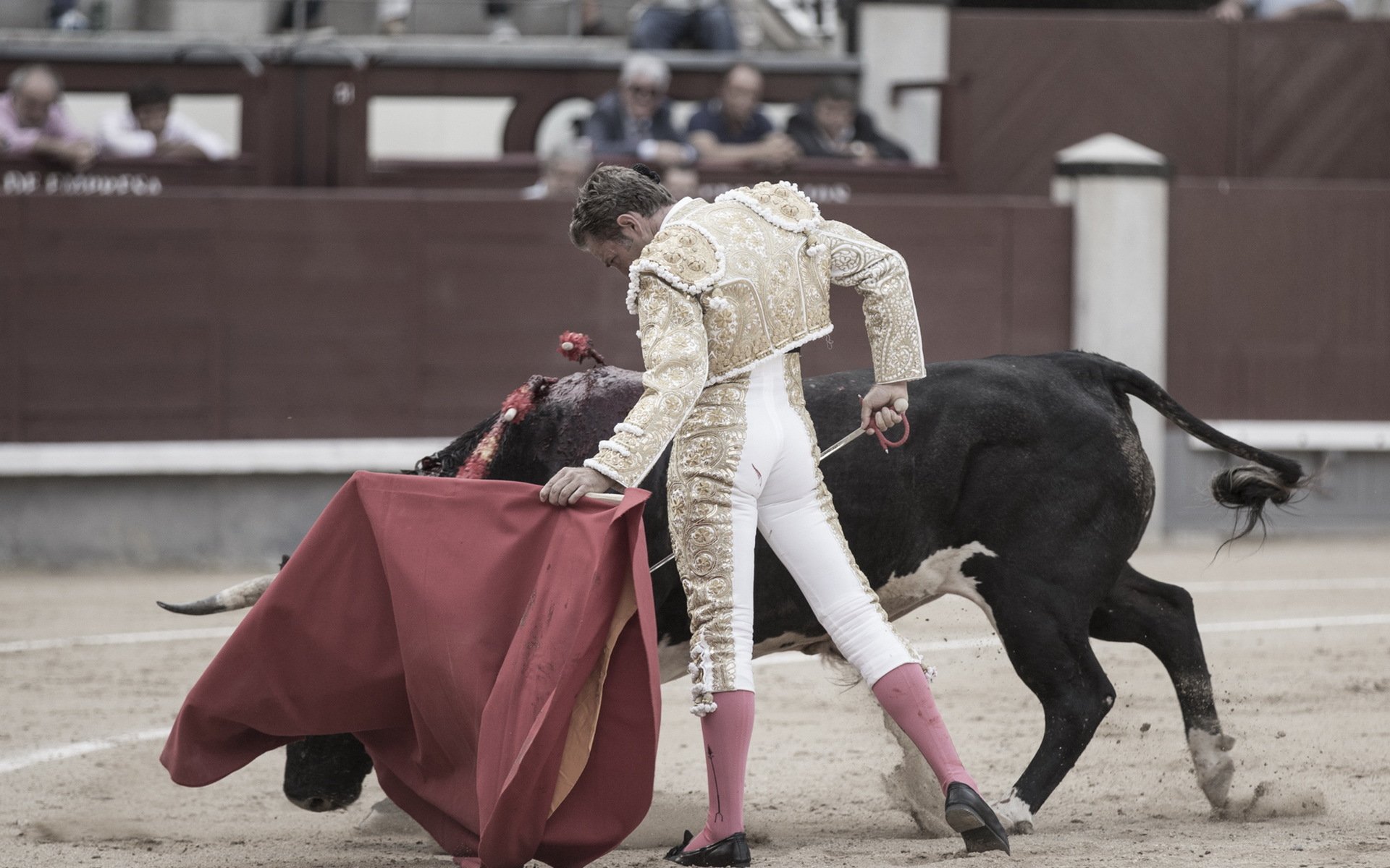 matador bull corida