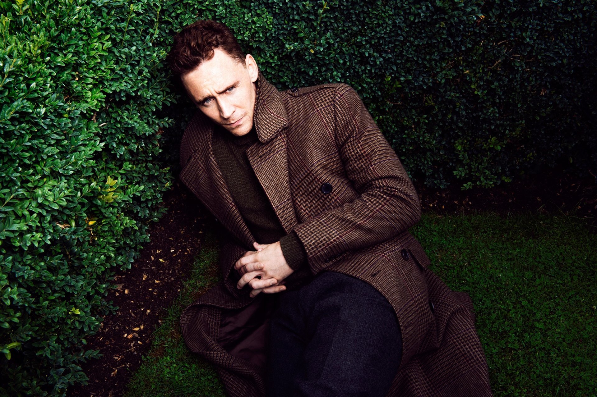 hiddleston tom hiddleston maschio attore cappotto cespugli sfondo umore