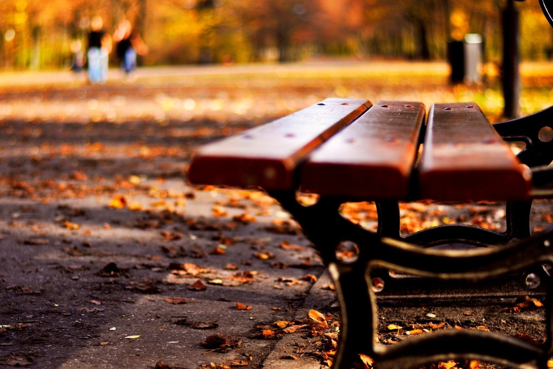 macro bench bench bench mood bench