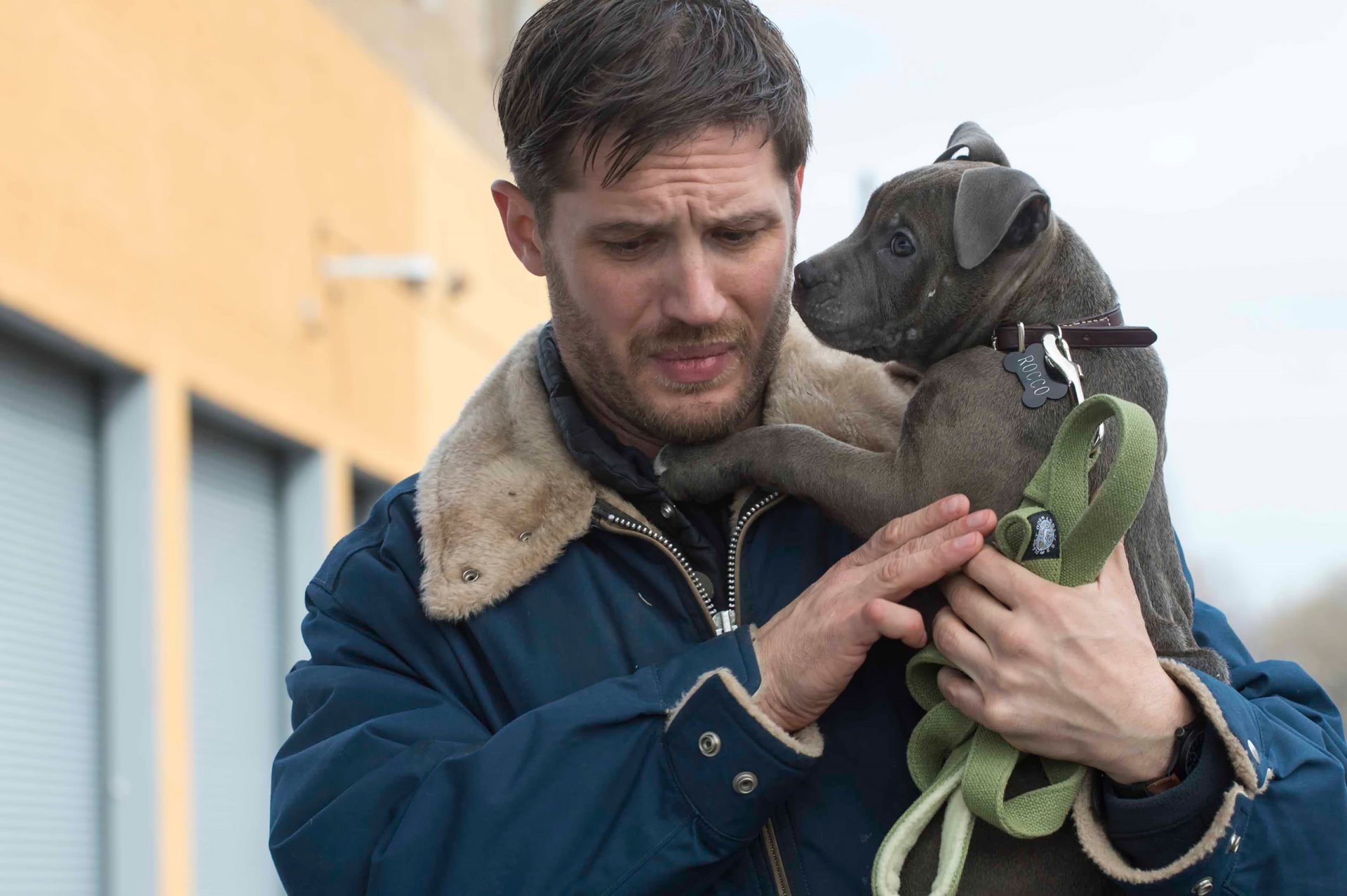 the drop obshchak tom hardy