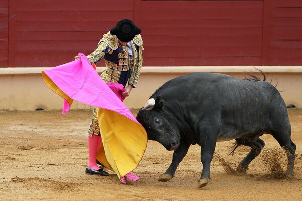 Toro nero e Matador con straccio rosa