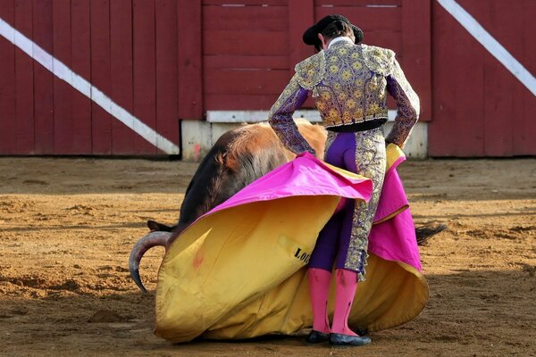 Matador and bull on Spanish corida