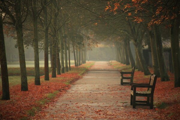 Parque urbano de otoño con bancos