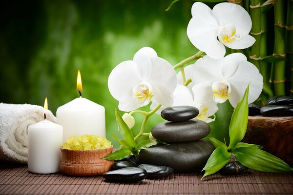 Orchid on the table with candles and stones